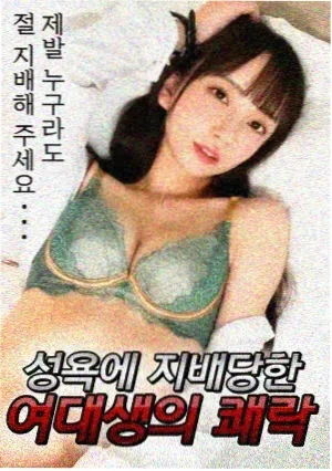 晨光之下 电视剧 2025