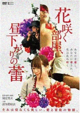 绿野仙踪 电影 2023 在线观看